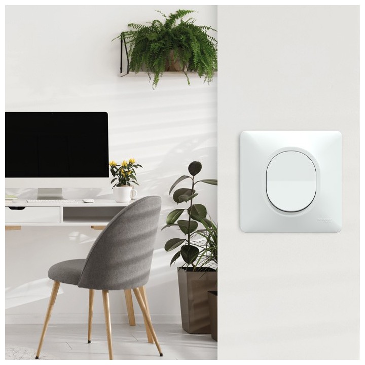 Schneider Probox Ovalis - Lot de 30 Prises + 10 Va-et-vient + 40 Plaques + 40 Boîtes dont 20 OFFERTES - Blanc - Réf : PBXBOVA