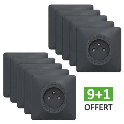 Schneider Ovalis - Lot de 10 Prises de courant 2P+T complètes anthracites dont 1 OFFERTE - Réf : S340059(10)