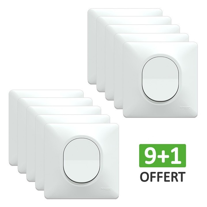 Schneider Ovalis - Lot de 10 interrupteurs va-et-vient complets blancs dont 1 OFFERT - Réf : S320204(10)