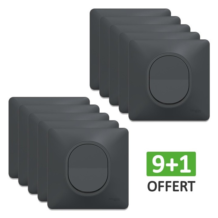Schneider Ovalis - Lot de 10 Interrupteurs va et vient complets anthracites dont 1 OFFERT - Réf : S340204(10)