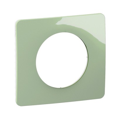 Legrand Céliane - Plaque de finition Vert Céladon - 1 poste - Réf : CP0501