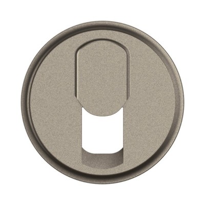 Legrand Céliane - Enjoliveur pour prise RJ45 - Titanium - Réf : CT0340