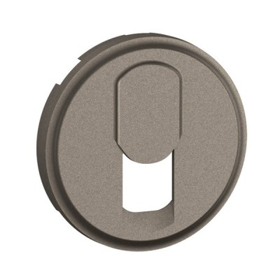 Legrand Céliane - Enjoliveur pour prise RJ45 - Titanium - Réf : CT0340