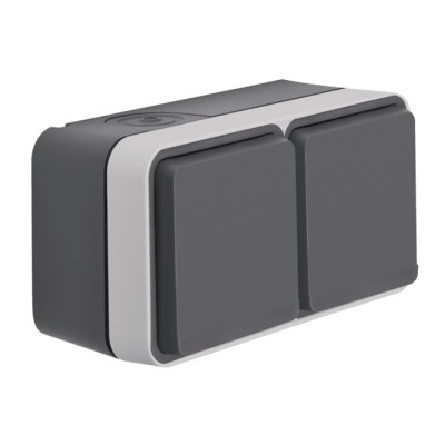 Hager - Prise de courant 2P+T double Cubyko étanche IP55 gris pose horizontale saillie - Réf : WNC122