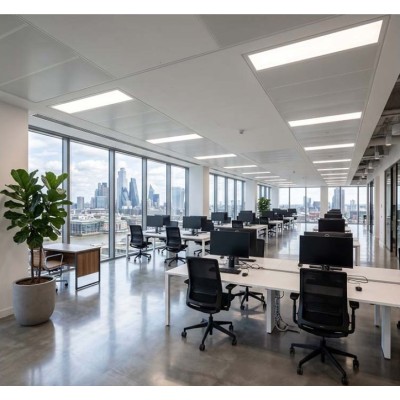 Miidex Lighting - Dalle LED - Blanc - 295 x 1195 mm - 28W - 4000K - Garantie 5 ans- Réf : 101103