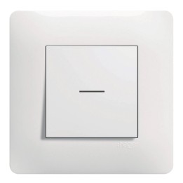 Hager Essensya - Interrupteur BP Duo Va et vient ou bouton poussoir à voyant avec plaque de finition - Blanc - Réf : WE023P