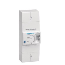 Hager -  Disjoncteur de branchement différentiel 2 pôles 60 A 500 mA instantané  - Réf : HDA260F