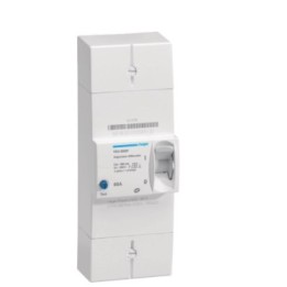 Hager -  Disjoncteur de branchement différentiel 2 pôles 60 A 500 mA sélectif  - Réf : HDA260SF