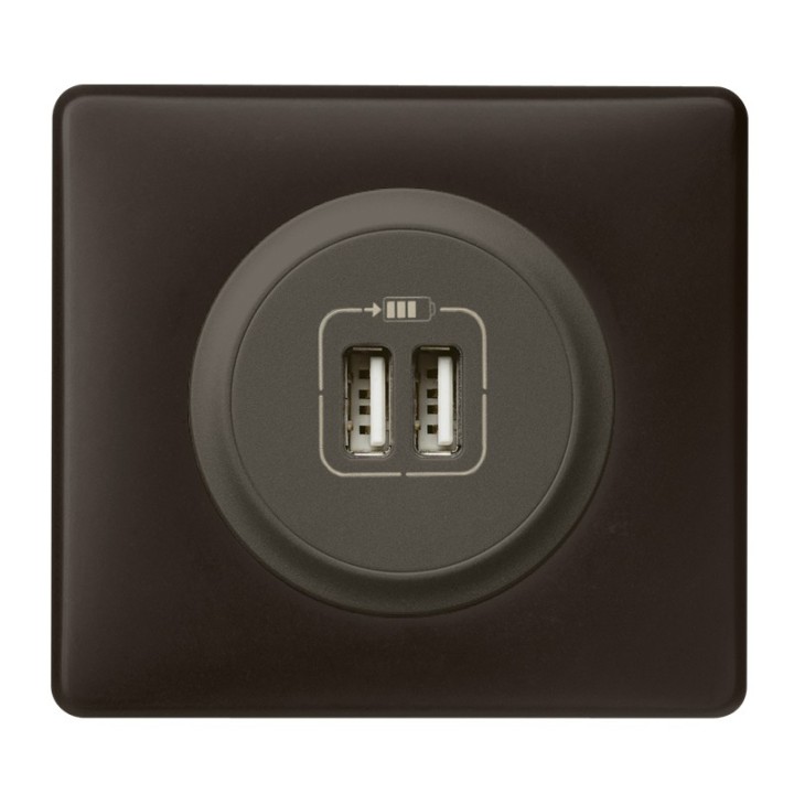 Legrand Céliane - Prise double chargeur USB - Ensemble Basalte complet à Griffes - Réf : B010G