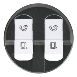 Legrand Céliane - Enjoliveur - Prise Double RJ 45 - Graphite - Réf : 067952