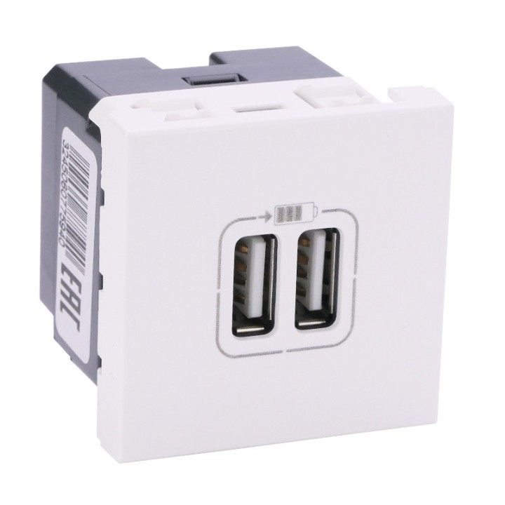 Legrand - Module de charge 2 USB typeA 2400mA Mosaic 2 modules 230V ou 5V - blanc - Réf : 077594