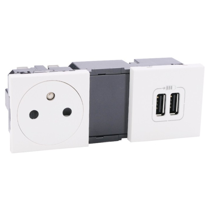 Legrand Mosaic - Prise de courant 2P+T Surface + module de charge 2 USB typeA 2400mA - 2x2 modules - blanc - Réf: 077595