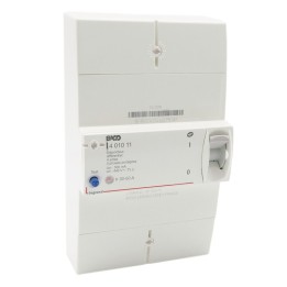 Legrand - Disjoncteur de branchement Enedis - différentiel 500 mA instantané - 60 A - Réf : 401011
