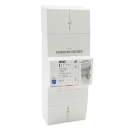 Legrand - Disjoncteur de branchement Enedis bipolaire différentiel 500mA instantané - 60A non réglable - Réf : 401051