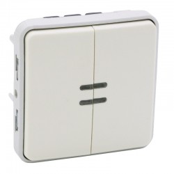 Legrand - Double interrupteur ou va-et-vient lumineux Plexo composable IP55 10AX 250V - blanc- Réf : 069626