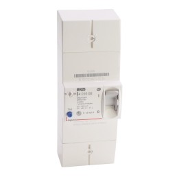 Legrand - Disjoncteur de branchement Enedis bipolaire différentiel 500mA instantané - 45A - Réf : 401000