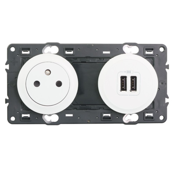 Legrand Céliane - Prise 2P+T + Prise Double USB - Ensemble blanc à composer - Réf : 099508