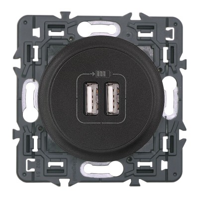 Legrand Céliane - Prise double chargeur USB - Ensemble Graphite à Griffes - à composer - Réf : 099543G