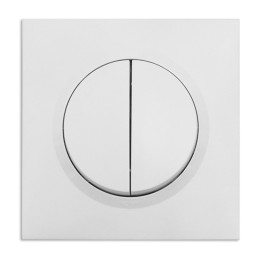 Legrand - Double interrupteur ou va-et-vient dooxie 10AX 250V~ livré avec plaque carrée blanche et griffes - Réf : 095011