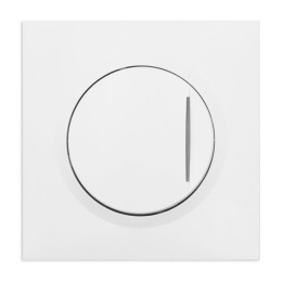 Legrand - Poussoir simple avec voyant lumineux dooxie one 6A 250V~ livré avec plaque carrée blanche et griffes - Réf : 600716