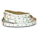 Vision-El - BANDEAU LED NU 24V - 5m 14,4W/m - RGB + White (6000K) - Réf : 75168