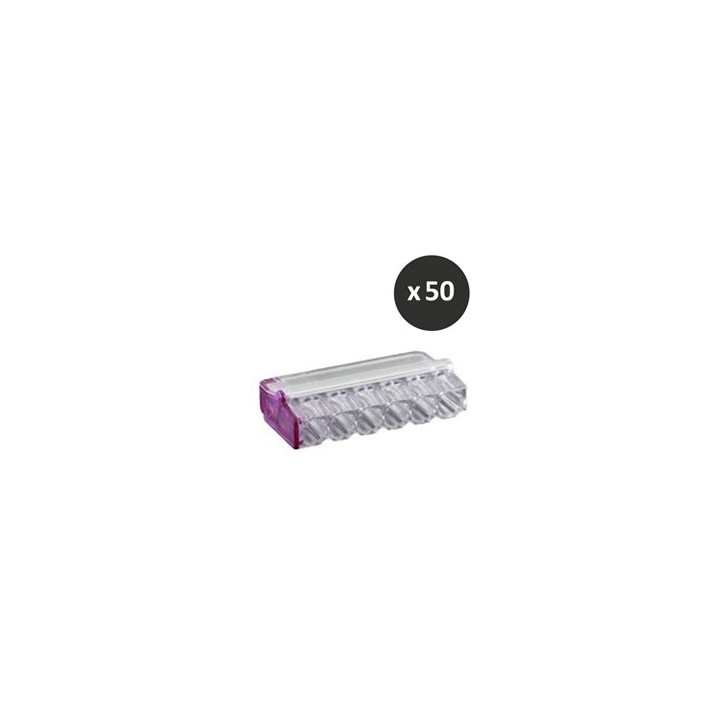 BLM - Connecteur Mini Connex 6 entrées violet - Réf : 420160(50)