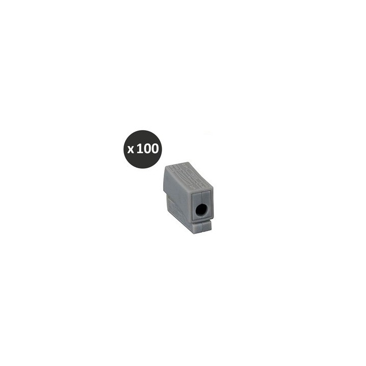 BLM - Borne luminaire 1 x 1,5 - 1 x 2,5 - Réf : 401011(100)
