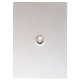 Legrand -  Porte DRIVIA blanche IP 40 - IK 07 - pour coffret réf.4 012 23 - RAL 9003 - Réf : 401233