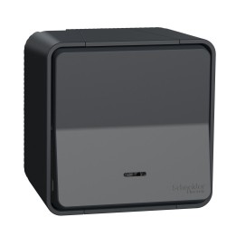 Schneider Mureva Styl - Va et vient lumineux ou témoin LED complet saillie IP55 - connexion auto - gris - Réf : MUR35024