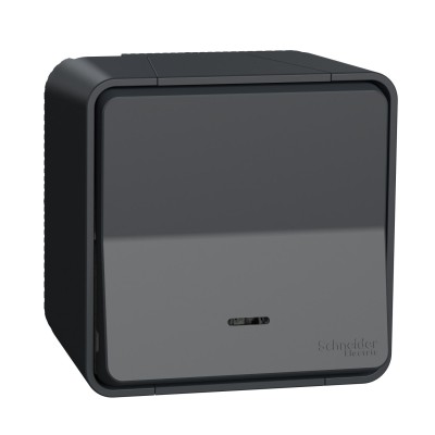 Schneider Mureva Styl - Va et vient lumineux ou témoin LED complet saillie IP55 - connexion auto - gris - Réf : MUR35024