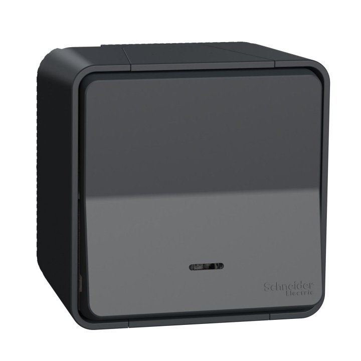 Schneider Mureva Styl - Va et vient lumineux ou témoin LED complet saillie IP55 - connexion auto - gris - Réf : MUR35024