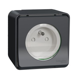 Schneider Mureva Styl - Prise de courant 2P+T complet saillie IP55 - connexion à vis gris - Réf : MUR36030