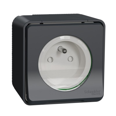 Schneider Mureva Styl - Prise de courant 2P+T complet saillie IP55 - connexion à vis gris - Réf : MUR36030