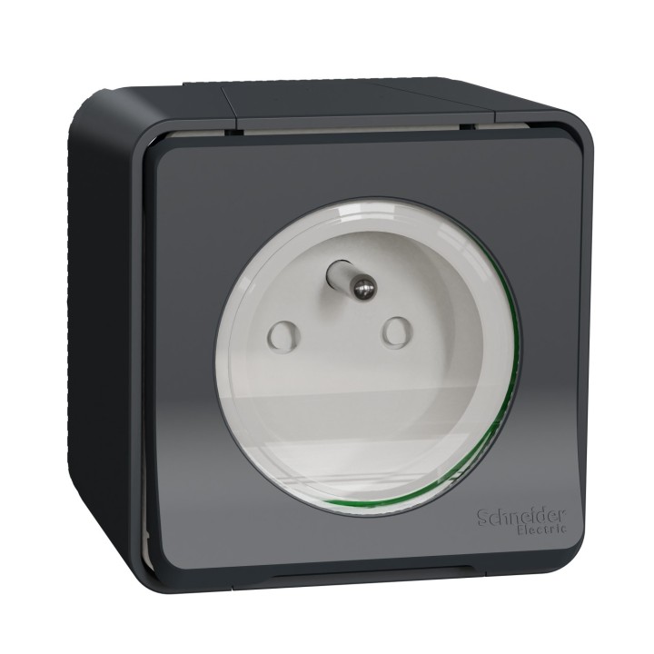 Schneider Mureva Styl - Prise de courant 2P+T complet saillie IP55 - connexion à vis gris - Réf : MUR36030