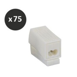 BLM - Borne luminaire 1 x 1,5 - 2 x 2,5 - Réf : 401022(75)