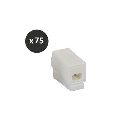 BLM - Borne luminaire 1 x 1,5 - 2 x 2,5 - Réf : 401022(75)