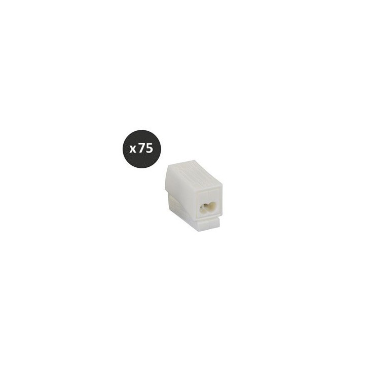 BLM - Borne luminaire 1 x 1,5 - 2 x 2,5 - Réf : 401022(75)