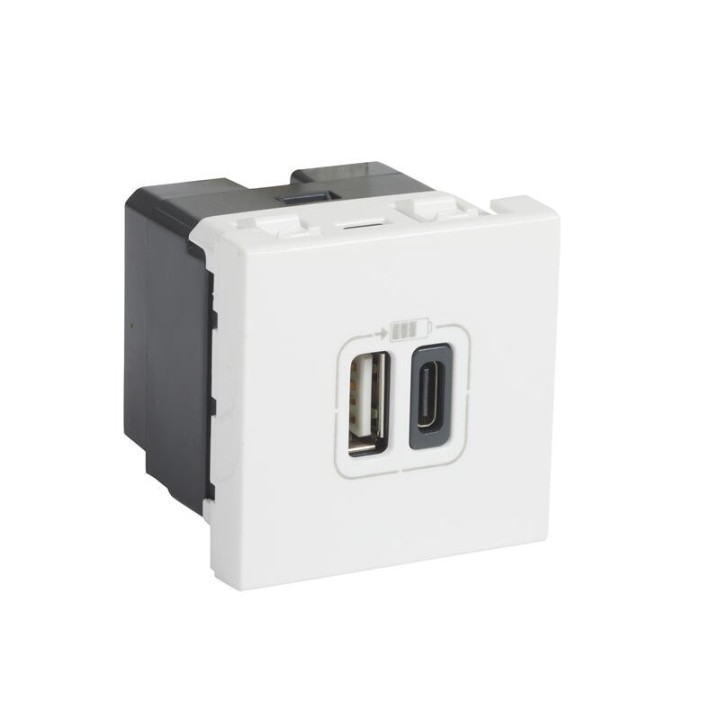 Legrand - Chargeur USB Type-A + USB Type-C 3A 15W Mosaic 2 modules 230V ou 5V - blanc - Réf : 077592