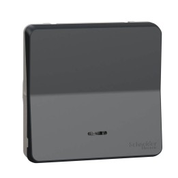 Schneider Mureva Styl - Va et vient lumineux LED composable - IP55 connexion auto - gris - Réf : MUR35025