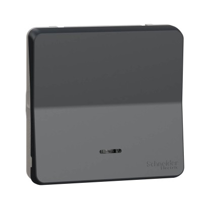 Schneider Mureva Styl - Va et vient lumineux LED composable - IP55 connexion auto - gris - Réf : MUR35025