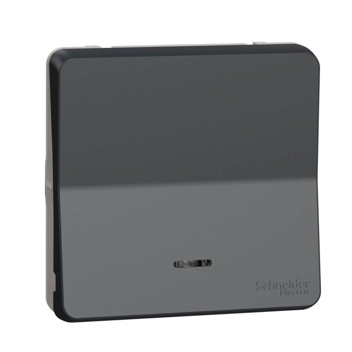 Schneider Mureva Styl - Va et vient lumineux LED composable - IP55 connexion auto - gris - Réf : MUR35025