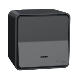 Schneider Mureva Styl - Bouton poussoir lumineux LED complet saillie - IP55 - gris - Réf : MUR35028