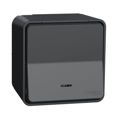 Schneider Mureva Styl - Bouton poussoir lumineux LED complet saillie - IP55 - gris - Réf : MUR35028