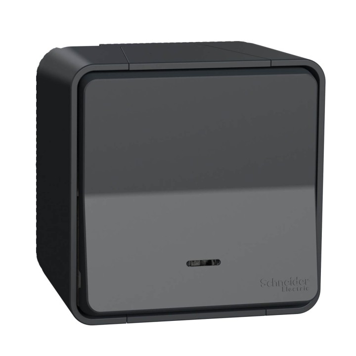Schneider Mureva Styl - Bouton poussoir lumineux LED complet saillie - IP55 - gris - Réf : MUR35028