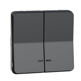 Schneider Mureva Styl - Double bouton poussoir lumineux LED composable - IP55 - gris - Réf : MUR35228