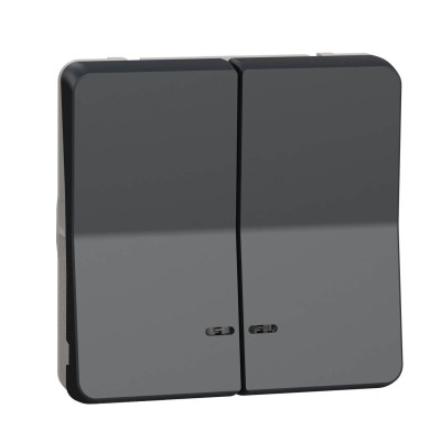Schneider Mureva Styl - Double bouton poussoir lumineux LED composable - IP55 - gris - Réf : MUR35228