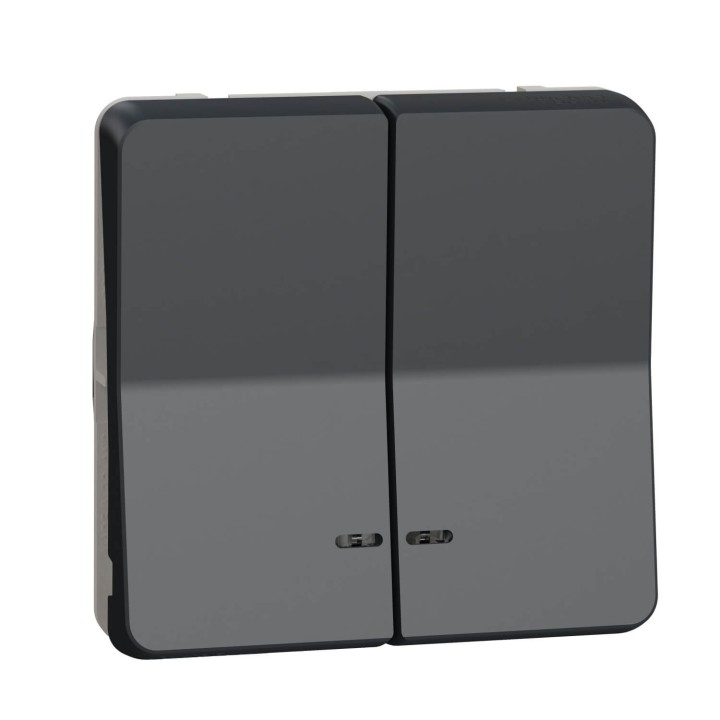 Schneider Mureva Styl - Double bouton poussoir lumineux LED composable - IP55 - gris - Réf : MUR35228