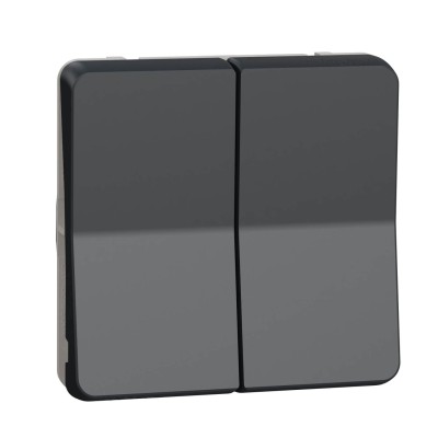 Schneider Mureva Styl - Double bouton poussoir composable - IP55 - gris - Réf : MUR35326
