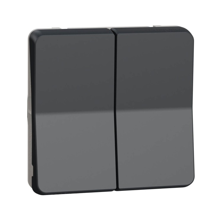Schneider Mureva Styl - Double bouton poussoir composable - IP55 - gris - Réf : MUR35326