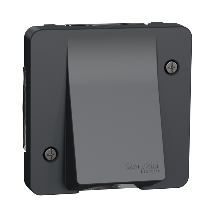 Schneider Mureva Styl - Sortie de câble composable - IP55 connexion auto gris - Réf : MUR37931